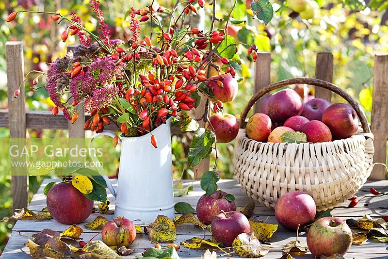 Jug of rosehips and perennials and basket of harvested apples on the table.