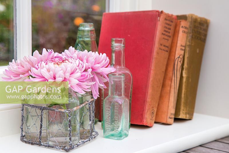 Chrysanthemum 'Bloom Allouise Pink' in glass jars within a wireframe heart, on a windowsill with a view to the garden