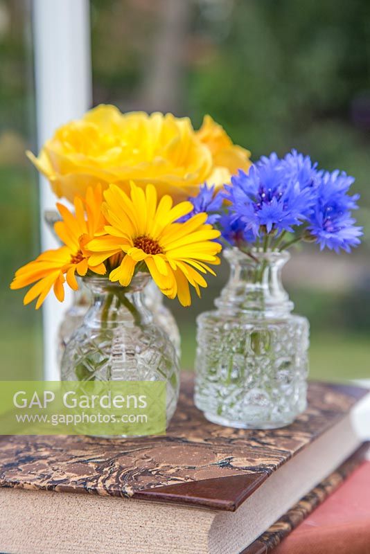 Floral display of Calendula officianalis 'Art Shades', Rosa 'Graham Thomas' and Cornflower - Centaurea in glass jars with a view through a window to the garden