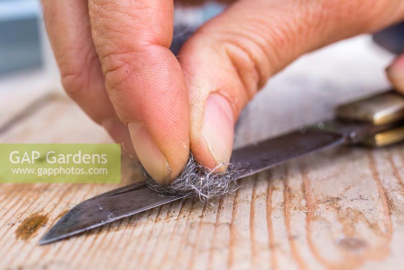 Using wire wool and oil to clean any rust or dirt from the blade. Maintaining garden knife