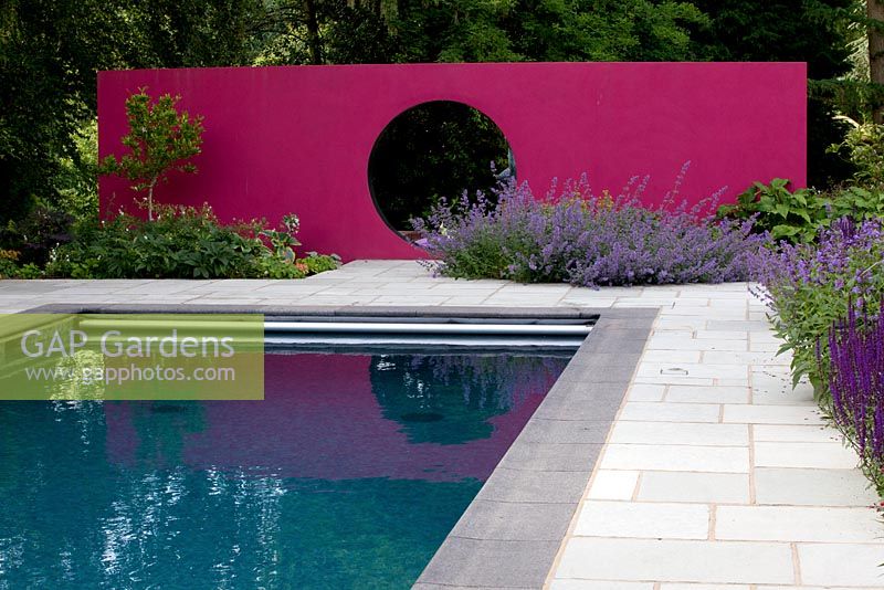 Swimming pool, pink moon feature wall and  paving. Planting includes Nepeta 'Six Hills Giant'