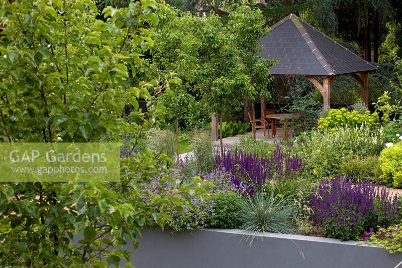 View to covered dining area, retaining walls with mixed planting and trees - Pyrus 'Chanticleer'