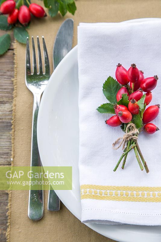 Table place setting featuring the use of Rosa - Rose hips