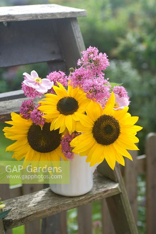 Cut garden flower arrangement - sunflowers pink valerian and Japanese anenomes in vintage wooden steps