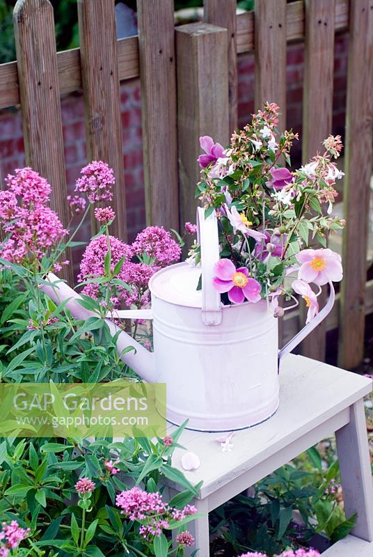 Cut garden flower arrangement - Japanese anenomes and abelia in  pink watering can