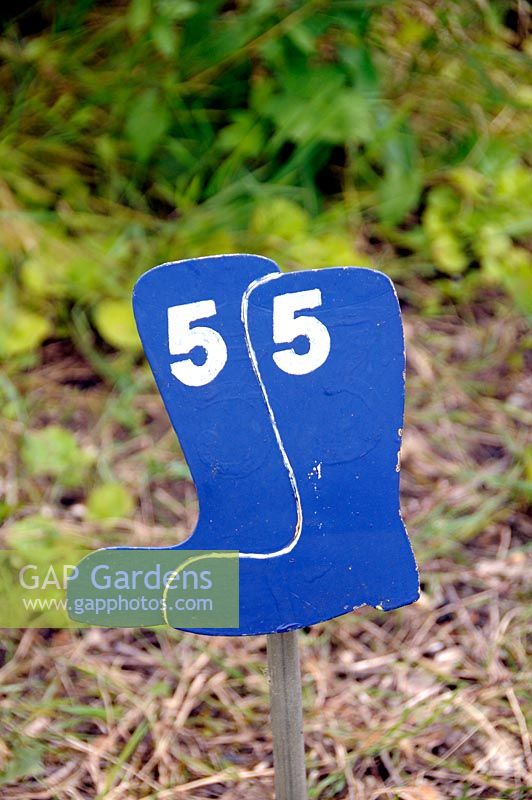 Allotment plot number 55 in the shape of blue wellington boots, Paddock Allotments 