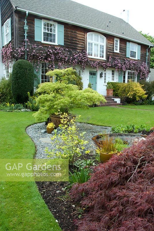 Front garden overview with view to house entrance with Clematis. Victoria BC, Canada