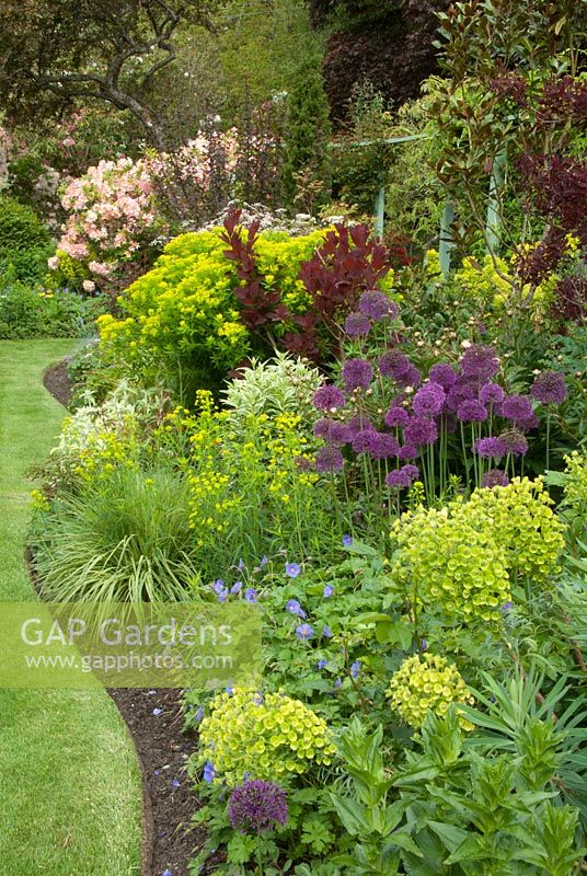 Spring border of Eup... stock photo by Allan Mandell, Image: 0474249