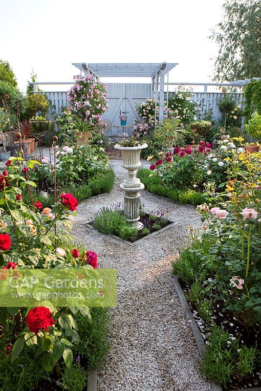 Rose garden, pergola with climbing rose, Rosa 'Mary Rose', Rosa 'Winchester Cathedral', Rosa 'Grace', Rosa 'Dark Lady',  urn in centre of rosegarden, white wooden fence