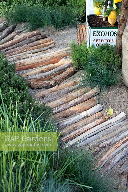 Mediterranean style garden, path made from drift wood, log pathway leading through garden,  planted with grass, herbs, with lemon tree planted in olive oil tin 