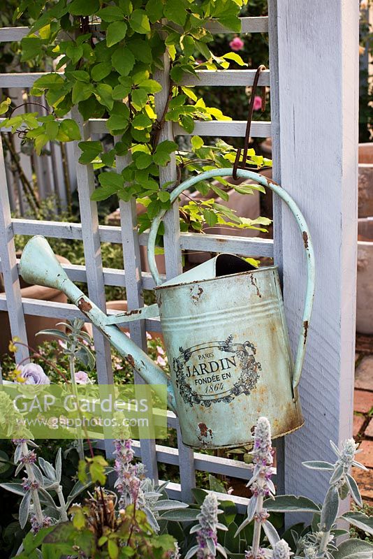 Rustic metal watering can hanging on garden trellis