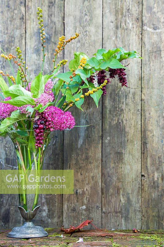 Floral display of leycesteria, sedum and crocosmia seed pods in glass vase against wooden backdrop