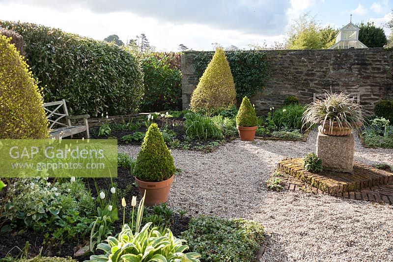 The Vean garden, with clipped box and privet. Bosvigo House, Truro, Cornwall, UK