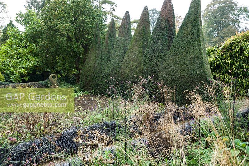 A tall, deeply serrated hedge of clipped yew forms a backdrop to beds in the Canal Garden. 