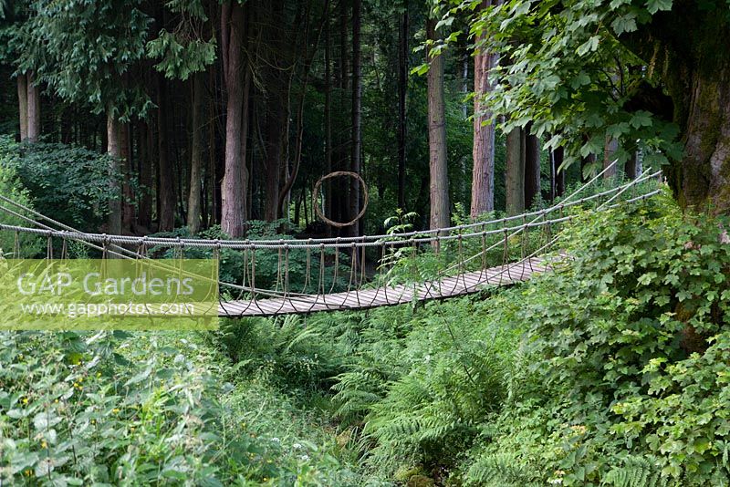 Forest garden with rope bridge across stream with ferns and forest beyond