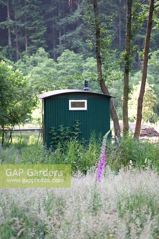 Shepherds hut on the edge of a forest set amongst grasses and foxgloves