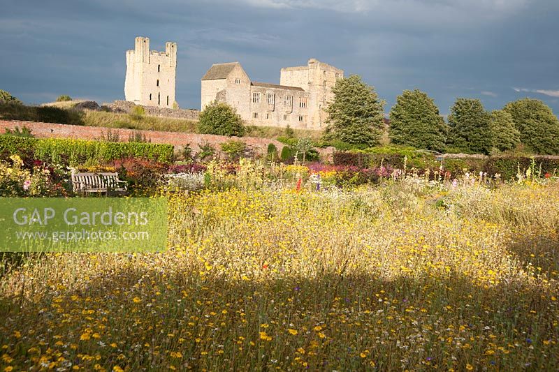 Imposing backdrop of Helmsley Castle with annual meadow planting in the foreground and hot herbaceous borders behind. 
