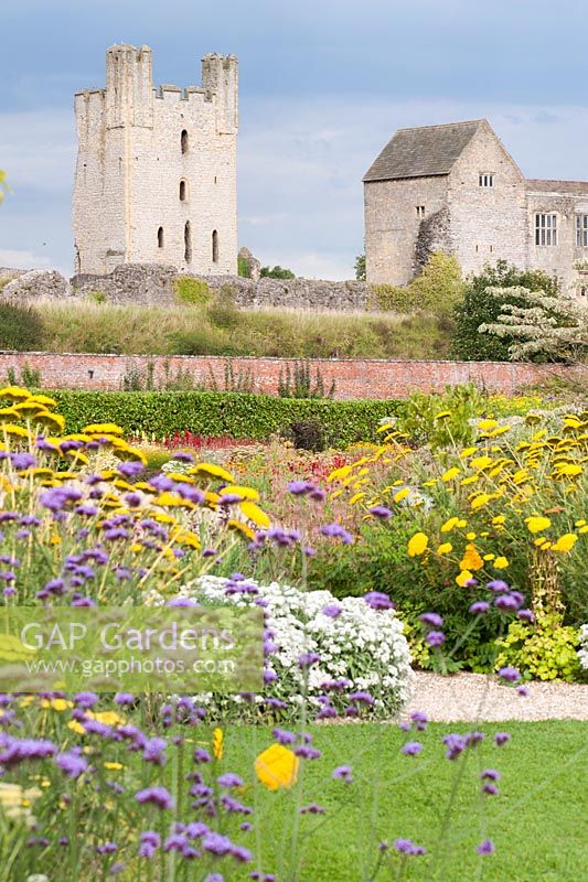 Achillea filipendulina 'Gold Plate' and Verbena bonariensis with the dramatic backdrop of Helmsley Castle. 