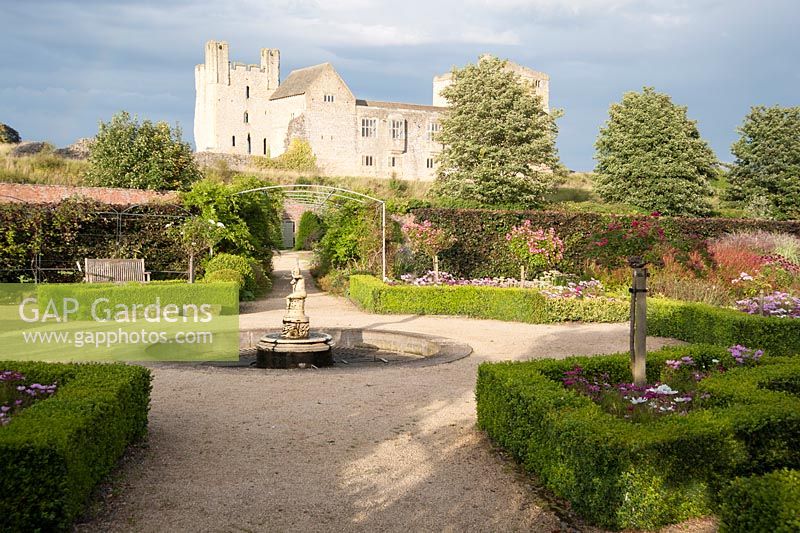 Imposing backdrop of Helmsley Castle with pond and fountain surrounded by box edged beds of cosmos and standard roses in foreground. 