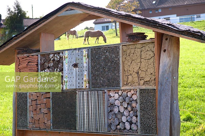 Grazing horses seen through wooden insect habitat 