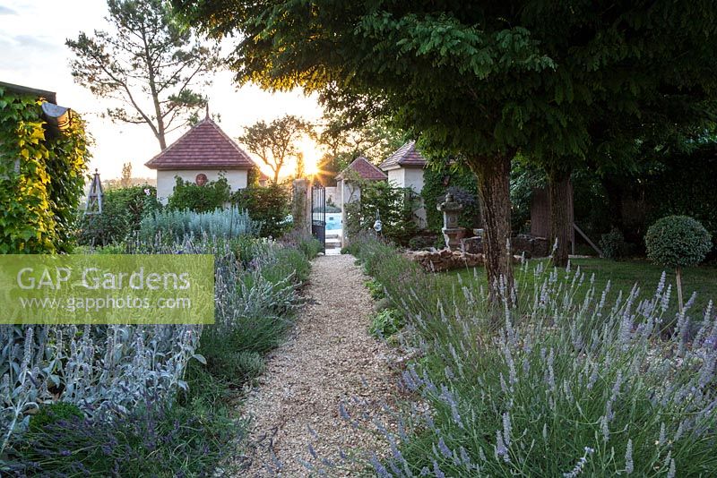 Gravel path lined with lavender and stachys leading to walled swimming pool and pavilions