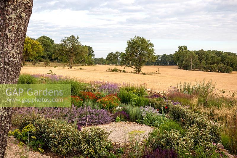 View onto garden with naturalistic Dutch style planting and open fields