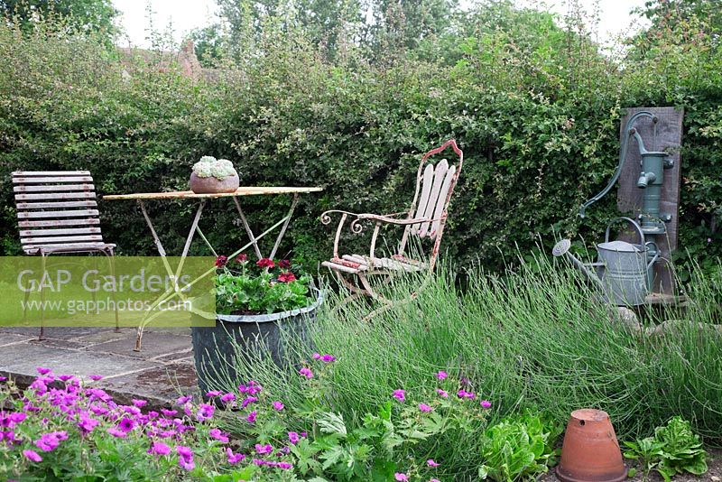 Raised stone patio backed by hawthorn hedge in cottage garden with antique garden chairs and table, cast iron water pump and watering can, Geranium psilostemon, lavandula, pelargoniums potted in an old copper,  and lettuce with upturned terracotta pot.