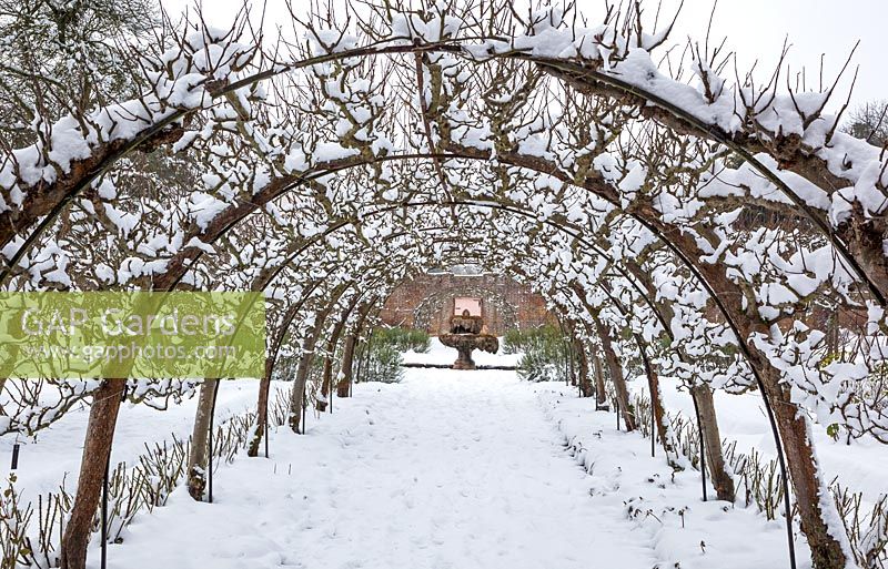 The Walled Garden in snow. Highgrove, January 2013. 