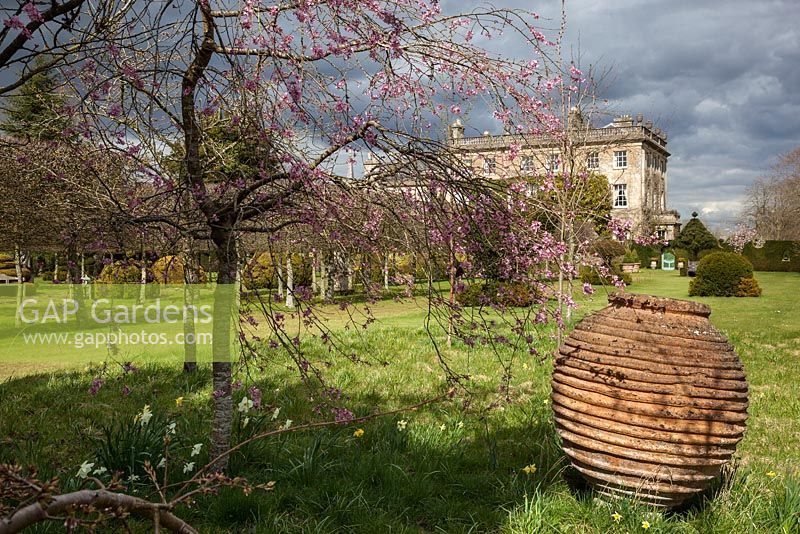 Highgrove Garden in Spring, April 2013. Blossom and pot in the wild flower meadow.