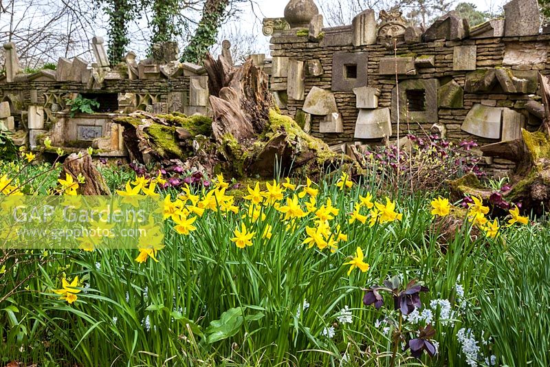 The Wall Of Gifts and daffodils in The Stumpery, Highgrove Garden, April 2013
