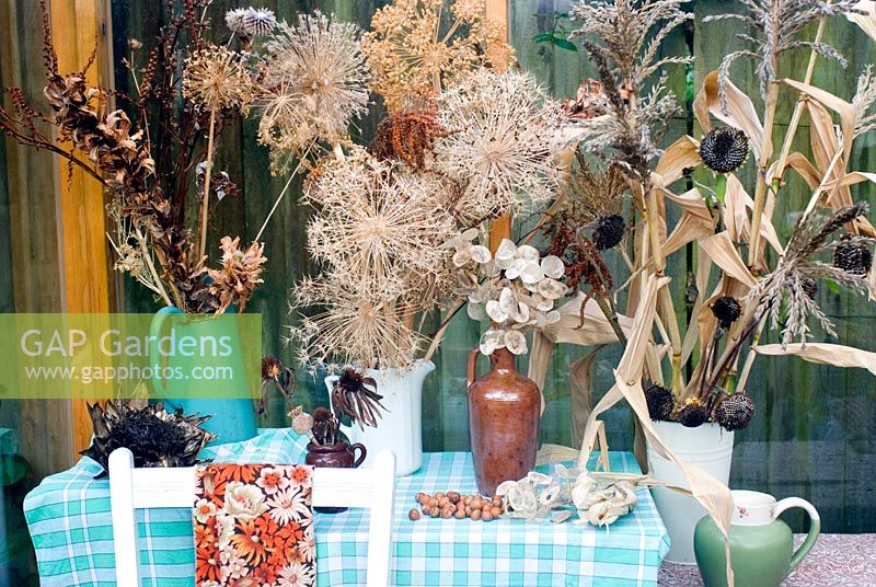 Dried flowers and seedheads for arranging in greenhouse
