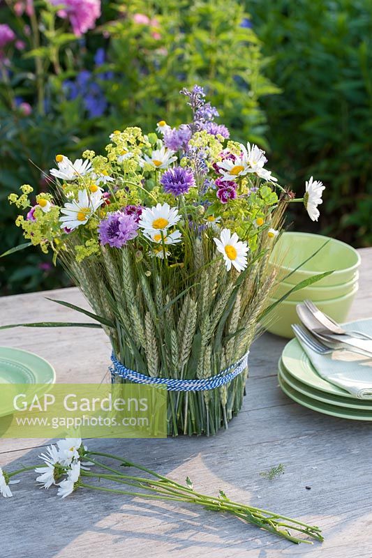 Arrangement of meadow flowers in glass clad with Secale cereale - rye grass. Cut flowers include leucanthemum, alchemilla, centaurea cyanus, dianthus barbatus and nepeta - catmint