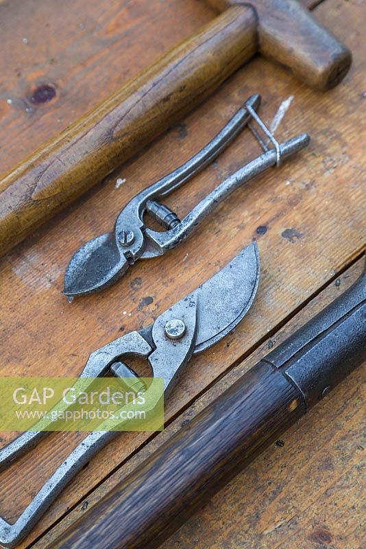 Vintage secateurs and spade handles on a wooden surface