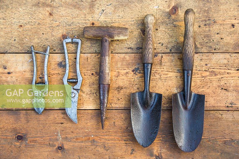 Collection of vintage garden tools on a wooden surface. Secateurs, seed dibber and hand Trowels