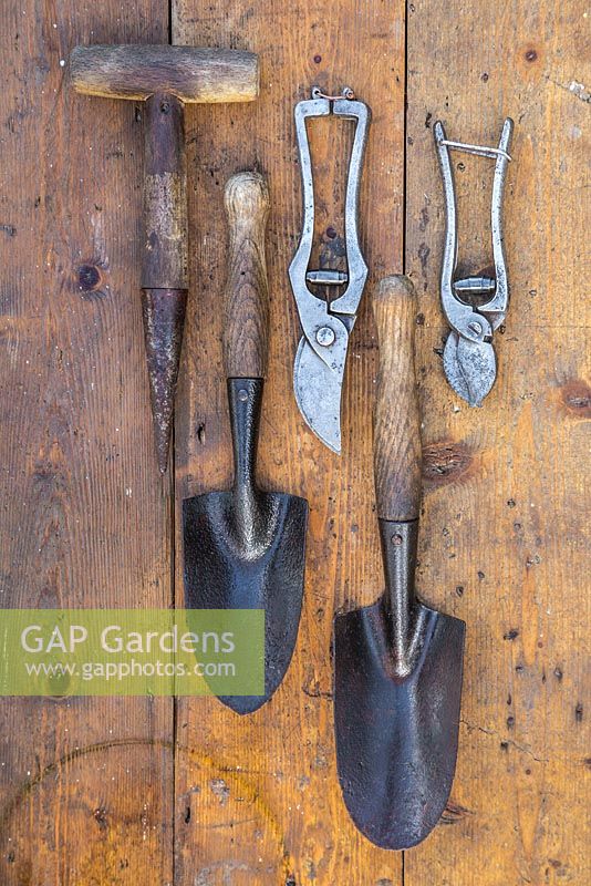 Collection of vintage garden tools on a wooden surface. Secateurs, seed dibber and hand trowels