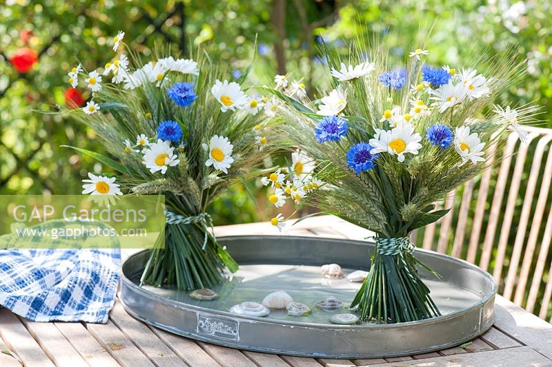 Bouquets with Hordeum - barley, Leucanthemum - daisies, Centaurea cyanus - cornflowers and Matricaria chamomilla - chamomile 