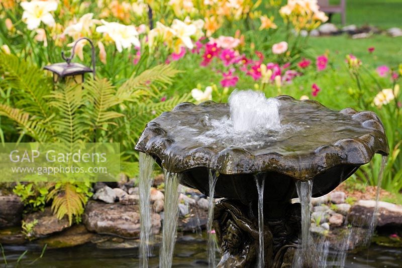 Close-up of cascading water fountain in pond bordered by Pteridophyta - Ferns and colourful palette of Hemerocallis - Daylily and purple Cosmos flowers in backyard Country garden in summer, Jardin des Mesanges garden, Quebec, Canada