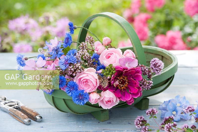 Basket full of flowers - Centaurea cyanus, Zinnia, Rosa, Oregano and Malva 