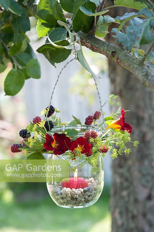 Glass jar lantern hung on tree decorated with Rubus -  blackberries, Foeniculum - fennel and Tropaeolum - nasturtium, candle in decorative gravel
