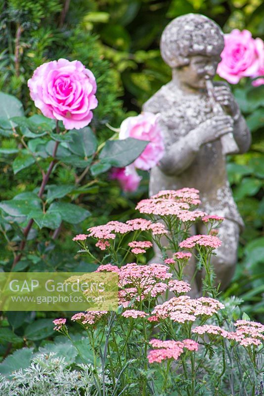 Border planting of Achillea millefolium and Rosa 'Pink Perfection' with a view to a statue. Garden: The NSPCC Legacy Garden. 