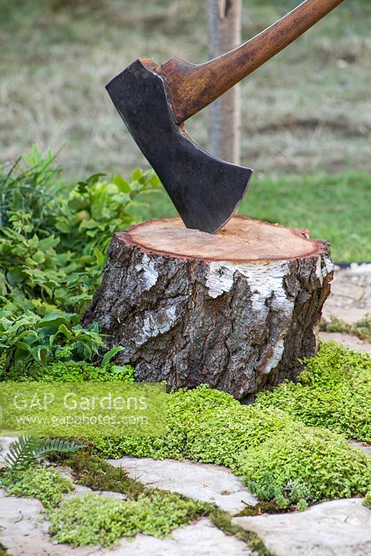 Large axe impaled in a stump, underplanted with Soleirolia soleirolii. Garden: Green is the Colour. RHS Hampton Court Flower Show, 2014