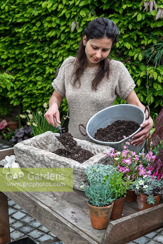 Practical step-by-step guide to planting a stone alpine trough with alpine plants. Fill the trough with a mix of half John Innes No. 2 compost and half grit, taking to within 10 cm of the trough's rim, levelling and firming with your fingertips.
