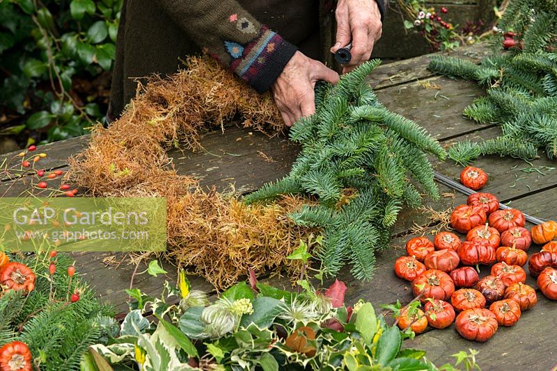 How to make a Christmas wreath. Short sprigs of spruce are pushed into the moss circle, covering three-quarters of the way round so that the sides are covered. Each sprig is secured in place with wire which is hidden by the next sprig.