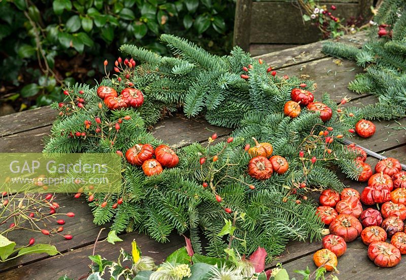 Christmas wreath using a 40cm wire wreath frame, sphagnum moss, spruce, dried pumpkins secured on lengths of florists' wire, rose hips.