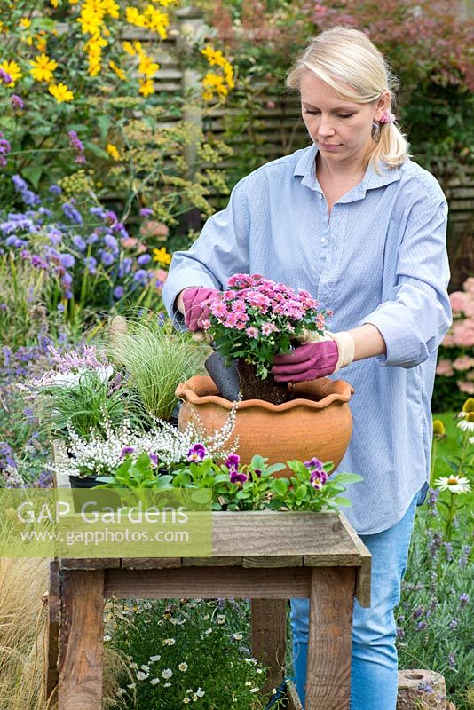 Planting a container herb garden. Remove the plants from their pots, carefully loosening the roots.