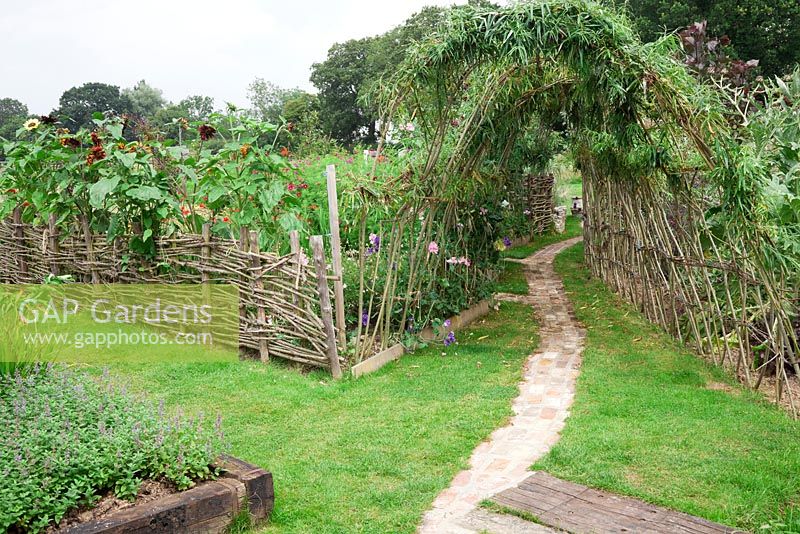 Living Willow tunnel with curved brick pathway leading through, Helianthus annuus 'Claret ' and 'Moonwalker' edging the cutting garden enclosed by hurdle woven fence.