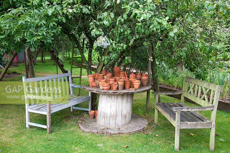 Collection of small terracotta pots on makeshift table made from a cable reel and benches under old Plum tree.