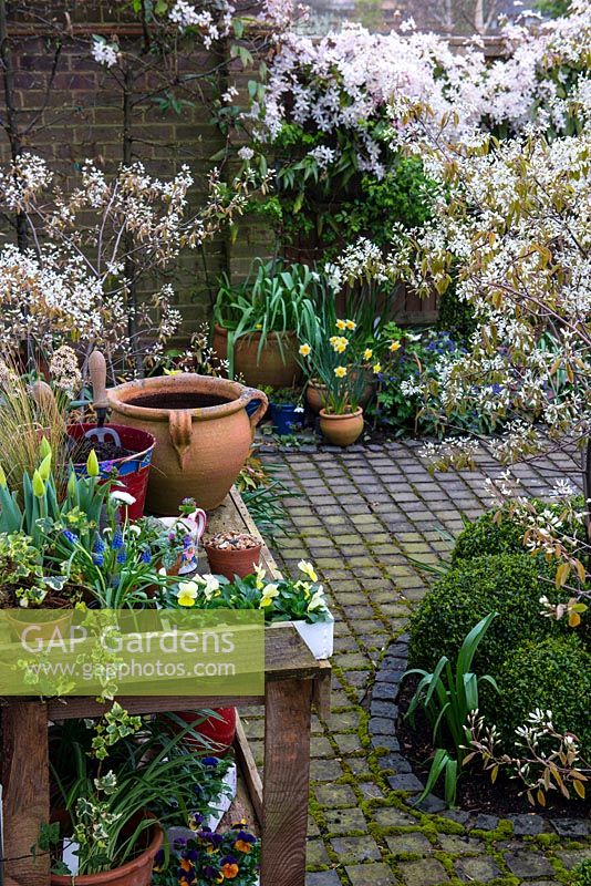 Step by step planting a spring container for Easter. Gather materials on a potting bench.