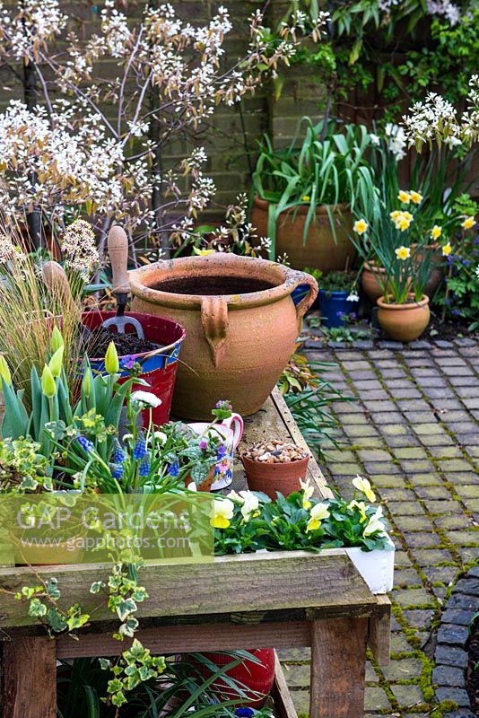 Step by step planting a spring container for Easter. Gather materials on a potting bench.