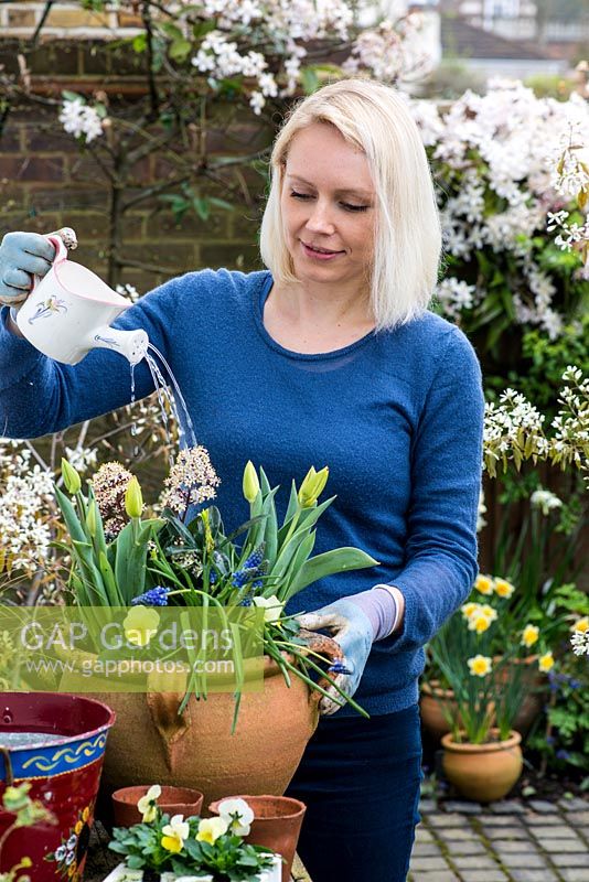Step by step planting a spring container for Easter. Water well after adding plants